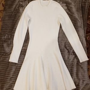 Winter sweater dress